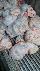 Fresh Beef Tallow - Image 1